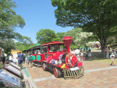 バラ公園・ミニ機関車.JPG