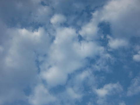 朝の雲.JPG