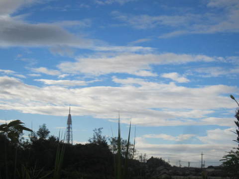 朝空とタワー.JPG