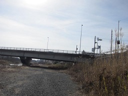 本地橋.JPG