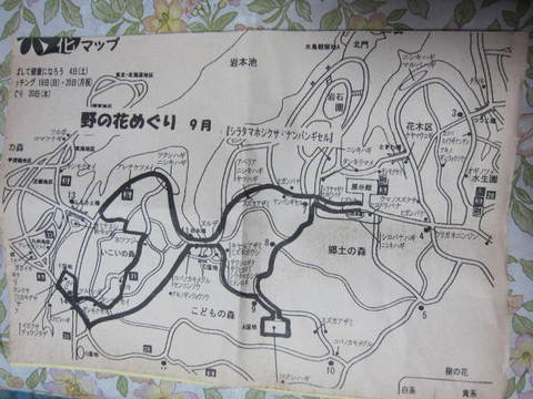 植物園・地図.JPG