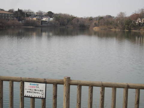 濁り池・２.JPG