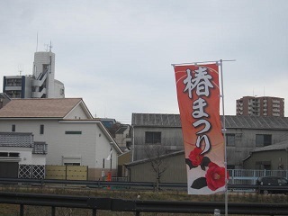 瀬戸椿祭り.JPG