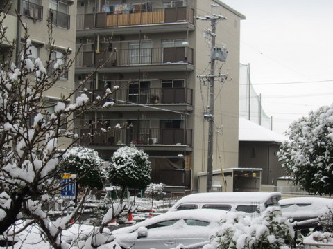 積雪・４.JPG