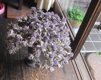 紫の花.JPG