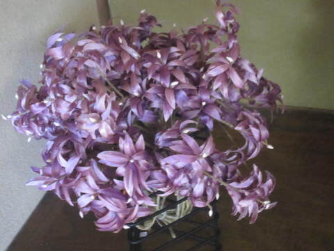 紫の花・２.JPG
