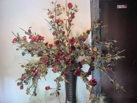 赤いバラの枝.JPG