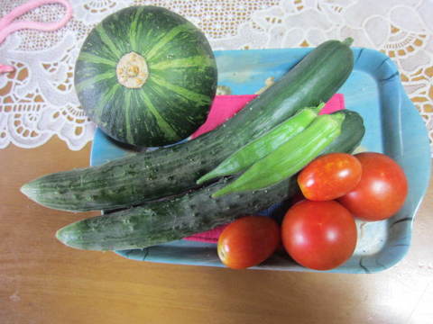 野菜.JPG
