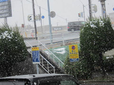 降雪.JPG