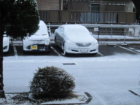 雪・裏５.JPG