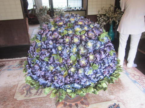 青紫の花.JPG