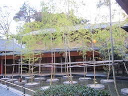 駿府・庭１.JPG