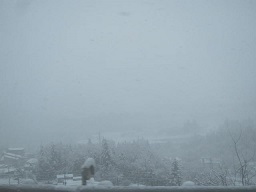 １０日吹雪.JPG