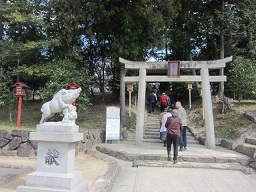 ２の４和気神社狛亥・１.JPG