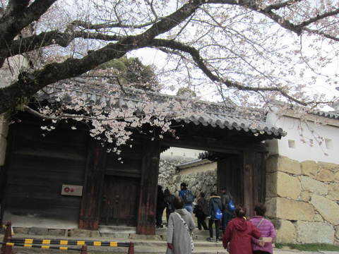 ２の７姫路城内門と桜・１.JPG