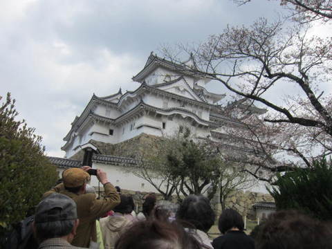 ２の７姫路城櫓と桜.JPG