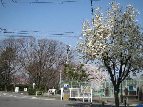 ２・植物園.JPG