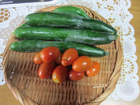 ２２日野菜.JPG