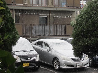 ５日・雪１.JPG