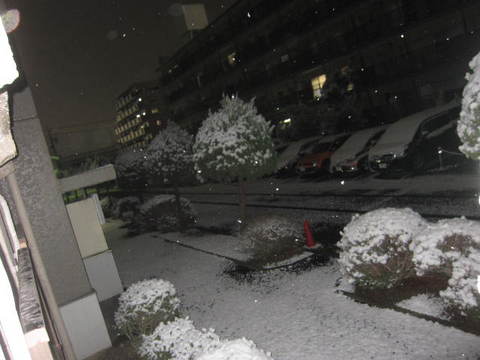 ５日・雪７.JPG