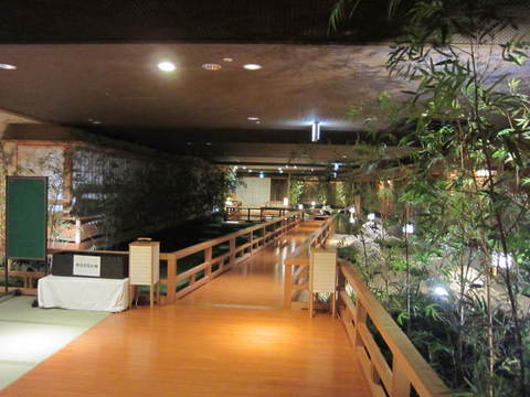 ６・ホテル温泉.JPG