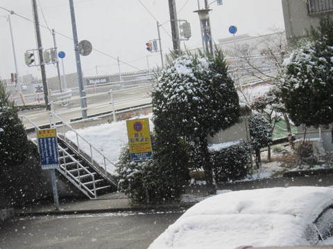 ６日・雪.JPG