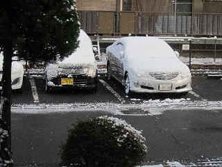 ６日・雪４.JPG