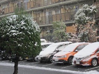 ６日・雪５.JPG