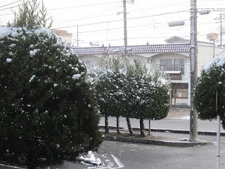 ６日・雪６.JPG